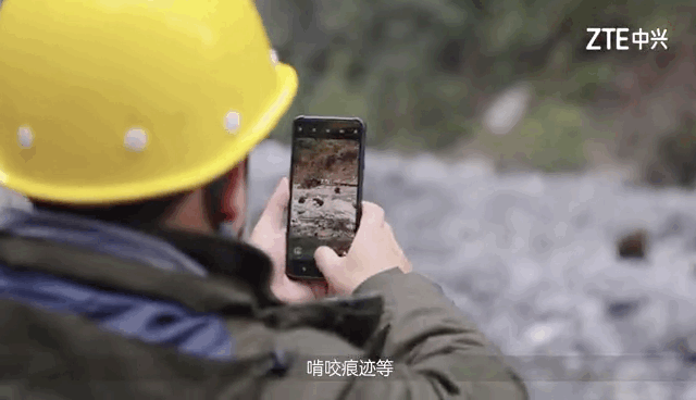 中兴通讯：5G消息守护大熊猫，守护生物多样性